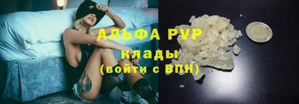 спайс Арсеньев