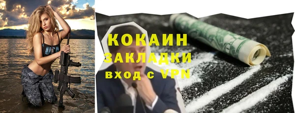 спайс Арсеньев