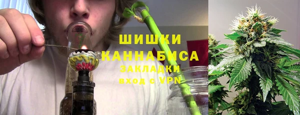спайс Арсеньев