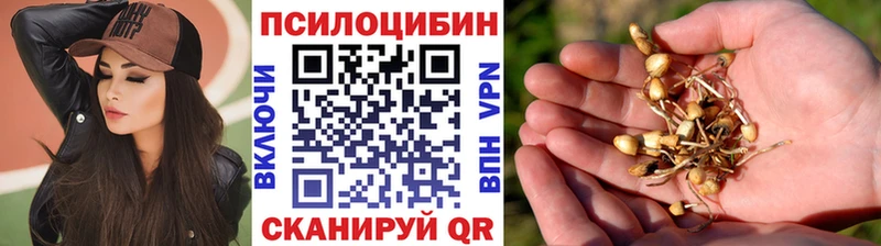 Псилоцибиновые грибы MAGIC MUSHROOMS  hydra tor  Лиски 