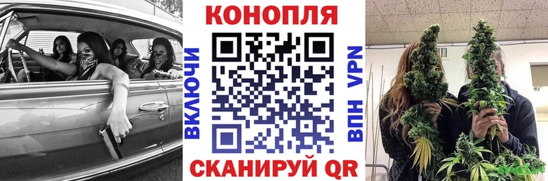 KRAKEN рабочий сайт  Лиски  Каннабис сатива 